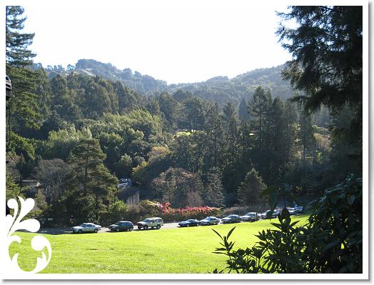 2007NovThanksgivingandRickWedding 043